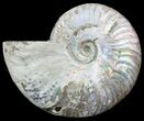 Silver Iridescent Ammonite - Madagascar #54869-1